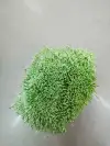 Pearlescent 01 light fruit green flower core gypsum 01 Application Scenario
